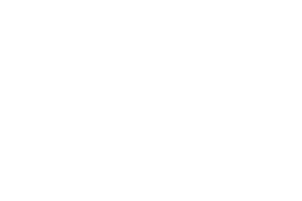 Logo NY Liberty